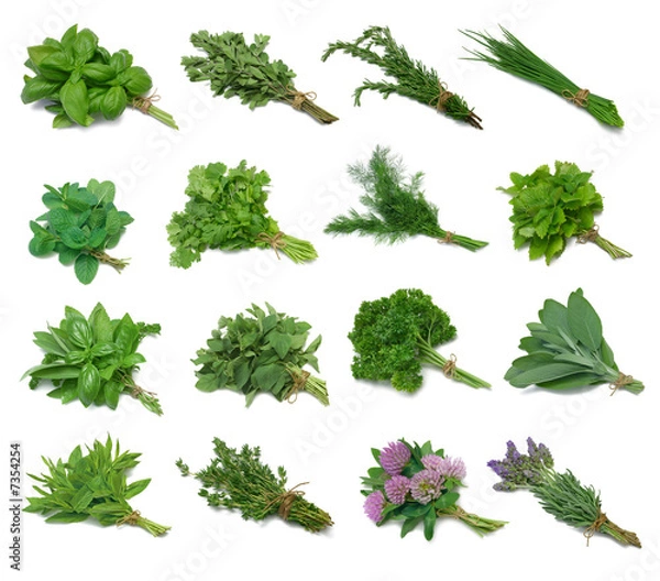 Obraz Herb Series Sampler ze ścieżkami przycinającymi