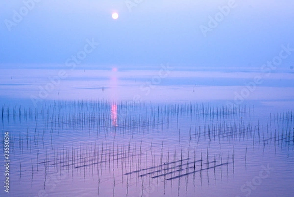 Obraz 有明海の海苔棚が映える朝の風景