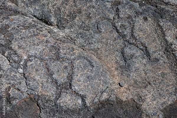 Fototapeta Ancient Hawaiian Petroglyphs in Black Lava, a Glimpse into Hawaiian Cultural Heritage