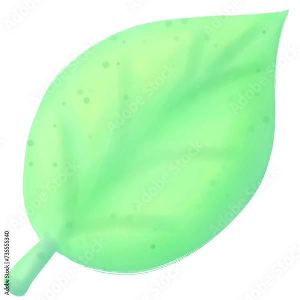Obraz green leaf on white background