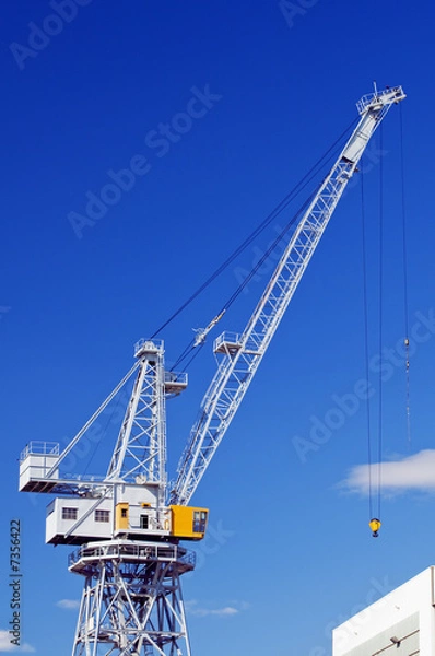 Fototapeta Crane