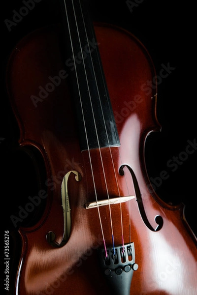 Obraz Violin on a black background