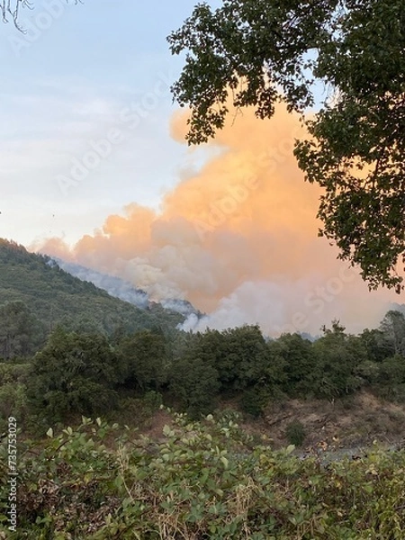 Obraz California wildfire
