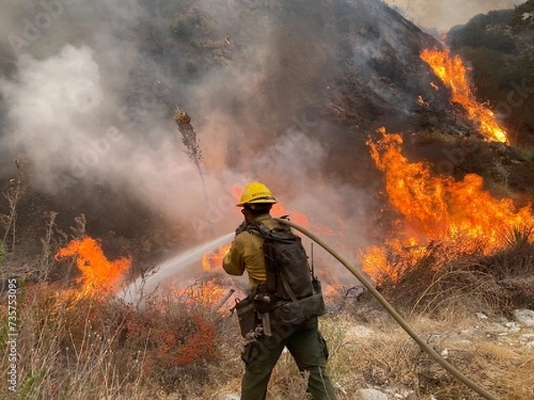 Obraz firefighters in action