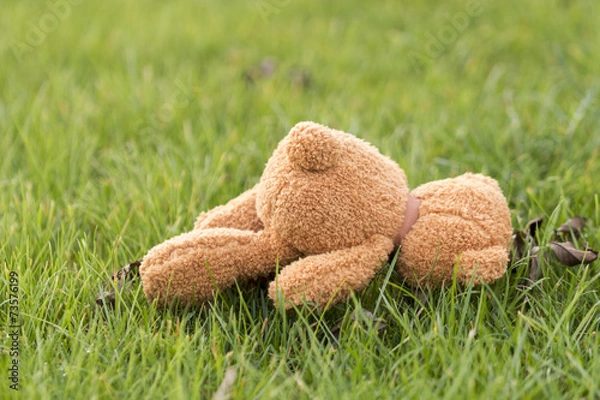 Fototapeta verlorener Teddybär