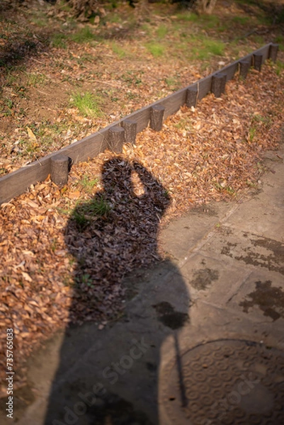 Obraz カメラマンの影