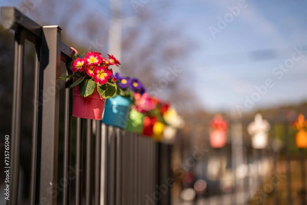 Obraz カラフルな植木鉢