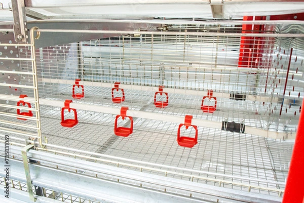 Obraz Chicken incubator machine, new empty hatchery, agricultural industry