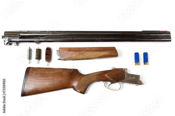 Obraz Disassembled shotgun