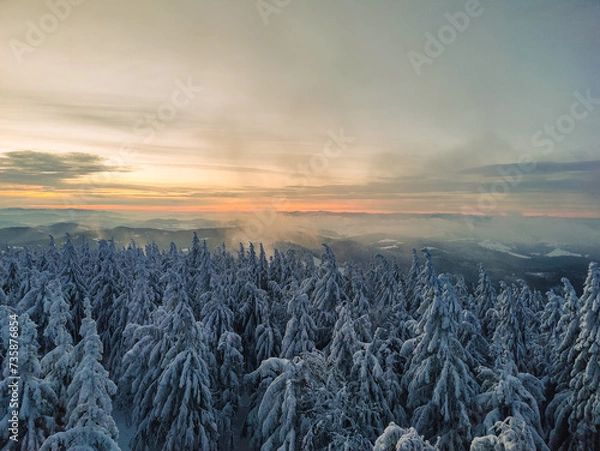 Obraz Winter Trekking on Radziejowa mountain in Beskid Sądecki, Poland, Europe
