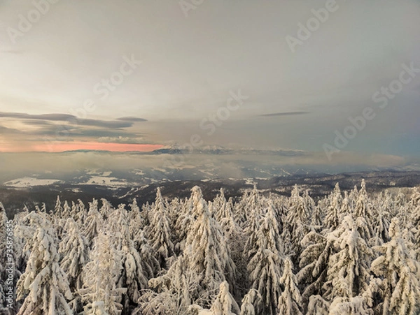 Obraz Winter Trekking on Radziejowa mountain in Beskid Sądecki, Poland, Europe