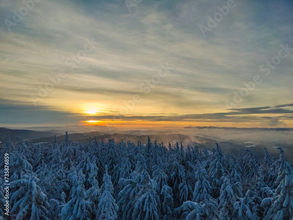 Obraz Winter Trekking on Radziejowa mountain in Beskid Sądecki, Poland, Europe