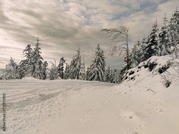 Obraz Winter Trekking on Radziejowa mountain in Beskid Sądecki, Poland, Europe