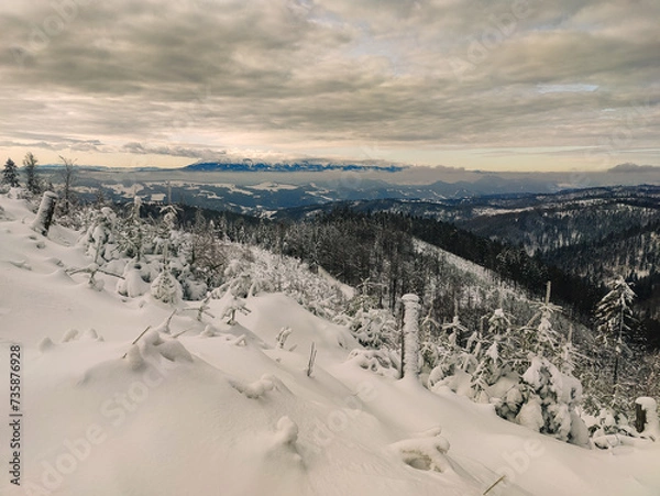 Obraz Winter Trekking on Radziejowa mountain in Beskid Sądecki, Poland, Europe