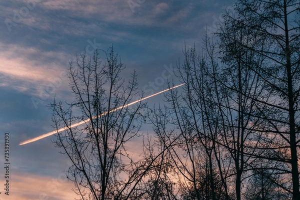 Obraz 夕焼けと飛行機雲