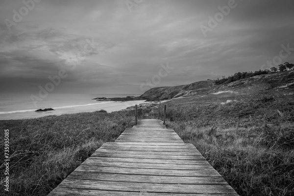 Obraz boardwalk in the dunes
