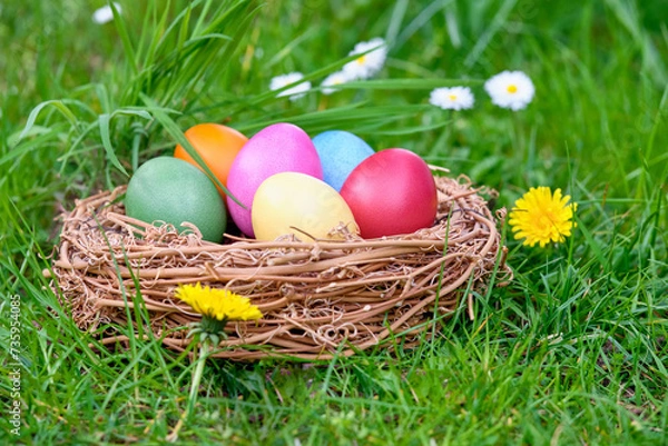 Fototapeta Osternest bunt