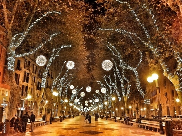 Fototapeta Palma zur Weihnachtszeit