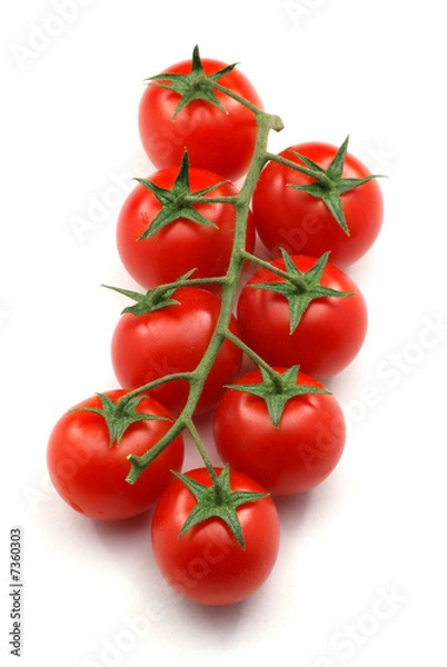 Obraz Red tomatoes