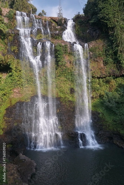 Fototapeta A beautiful waterfall in the midst of perfect nature in the forest.