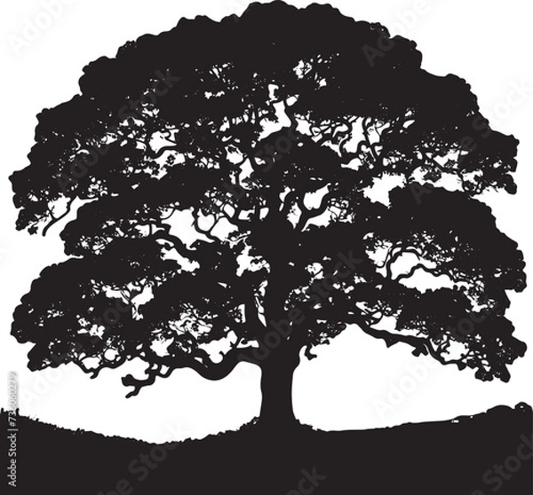 Fototapeta Oak tree icon isolated on white background
