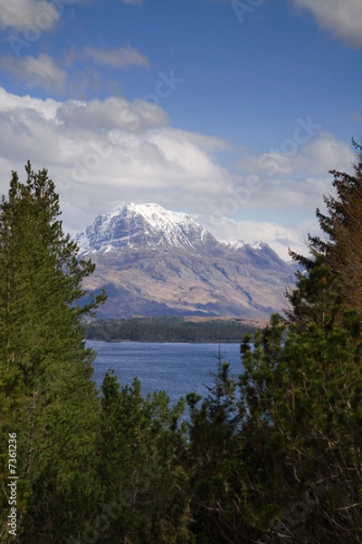 Fototapeta slioch thru trees