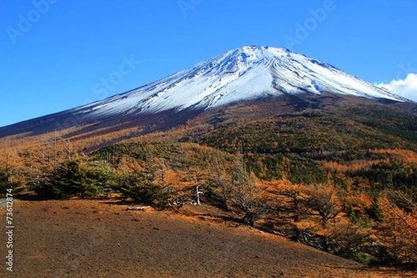 Obraz Mt.Fuji with autumn leaves