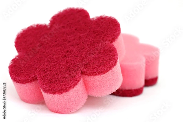 Obraz Cleaning Sponge