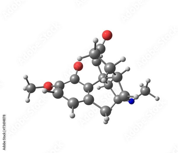 Obraz Hydrocodone molecule isolated on white
