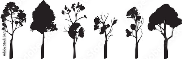 Fototapeta Set Trees. Hand drawn vector illustration