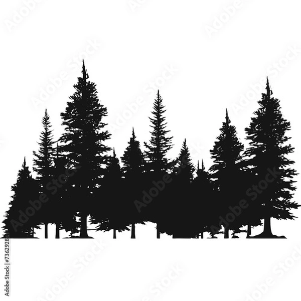 Fototapeta 
forest silhouette 