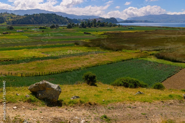 Obraz Laguna de tota-Boyca
