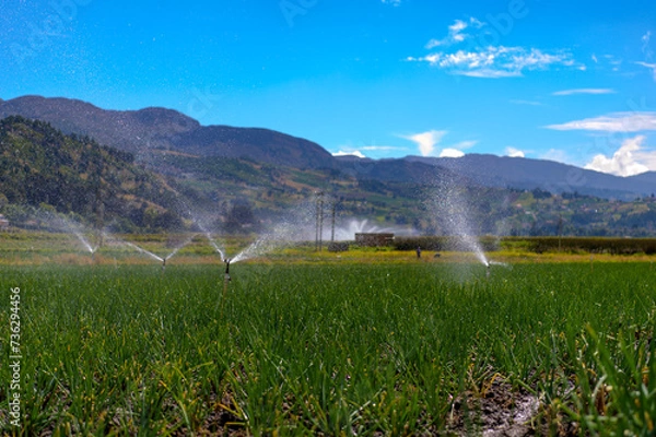 Obraz Laguna de tota, 