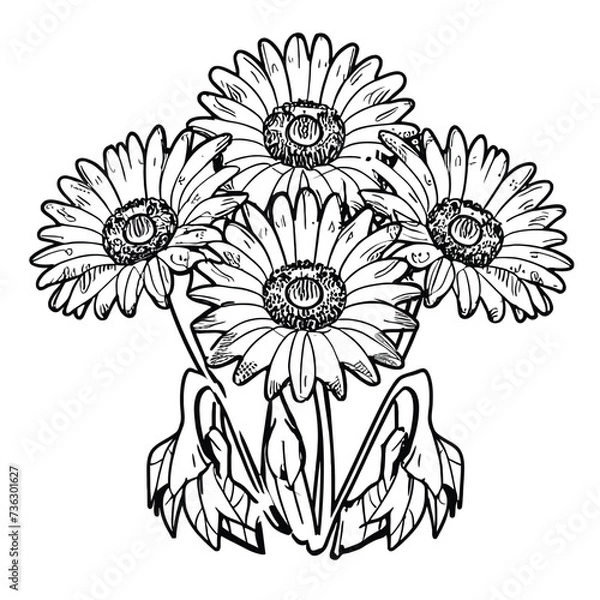 Fototapeta Flower Coloring Page Outline Vector 