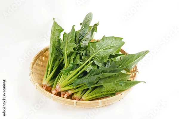 Obraz ほうれんそう