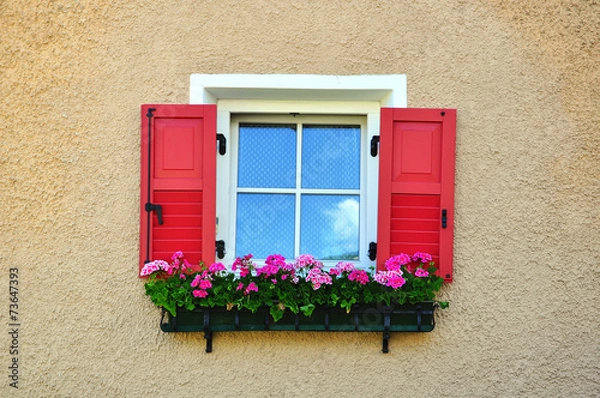 Fototapeta Window with flowers