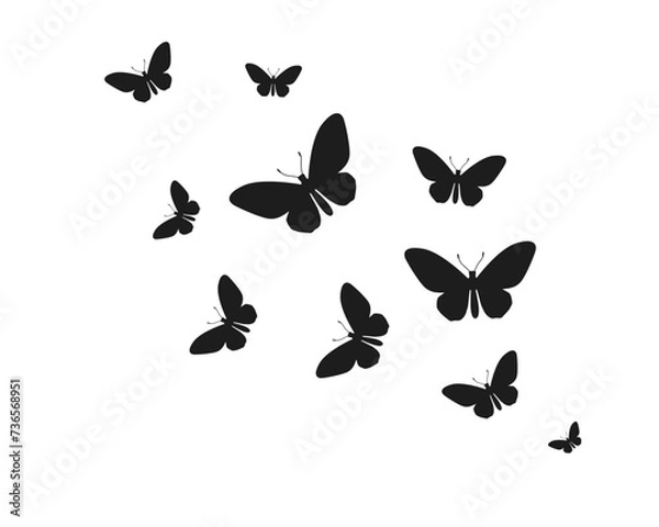 Obraz butterflies silhouettes set