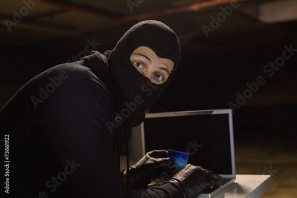 Fototapeta Burglar shopping online with laptop while looking at camera