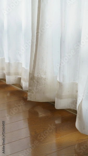 Fototapeta カビで汚れたレースのカーテン