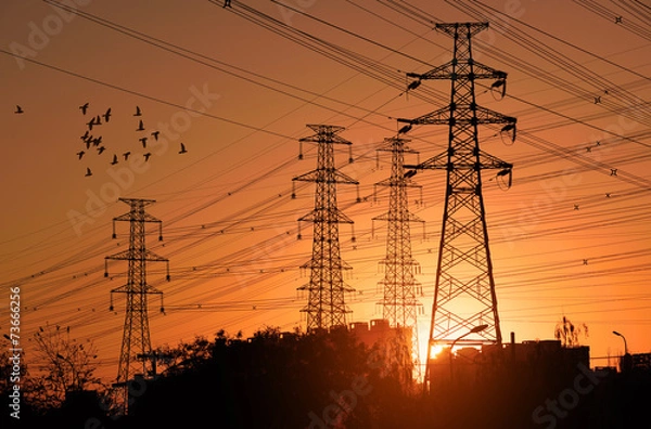 Obraz Electric Power pylon with flock birds at Sunset.