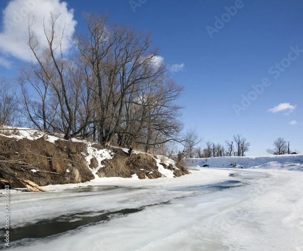 Fototapeta Spring has come