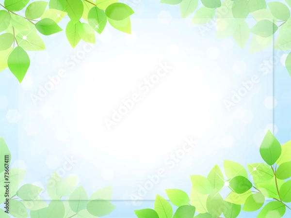 Obraz 新緑と青空のフレーム　キラキラの葉っぱ
