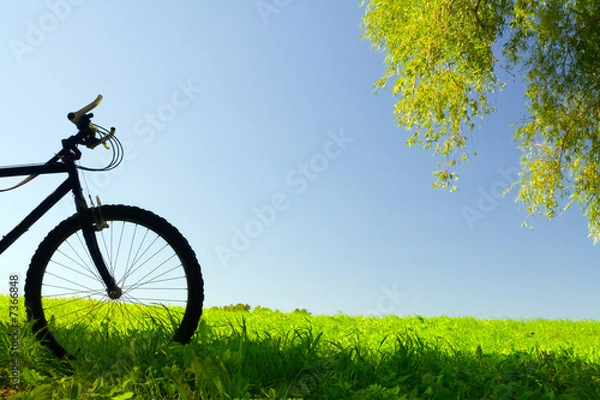 Obraz Mountain bicycle