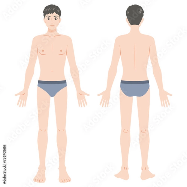 Fototapeta 下着姿の男性の全身