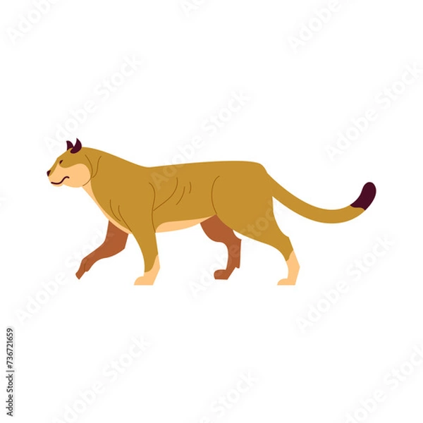 Obraz Puma Cartoon Style Illustration