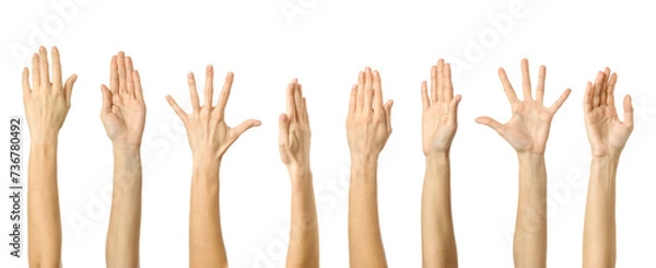 Fototapeta Raised hand. Multiple images set of female caucasian hand with french manicure showing Raised hand gesture