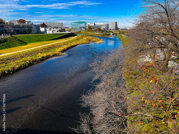 Fototapeta 埼玉志木市 いろは親水公園と新河岸川