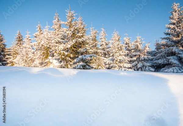 Fototapeta Winterlandschaft