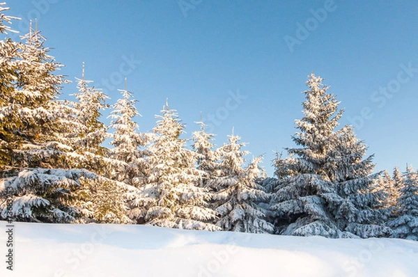 Fototapeta Winterlandschaft