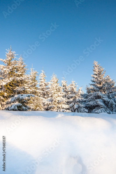 Fototapeta Winterlandschaft